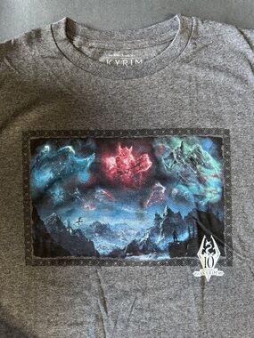 10th Anniversary Men's Graphic Tee SKYRIM - Charcoal Gray